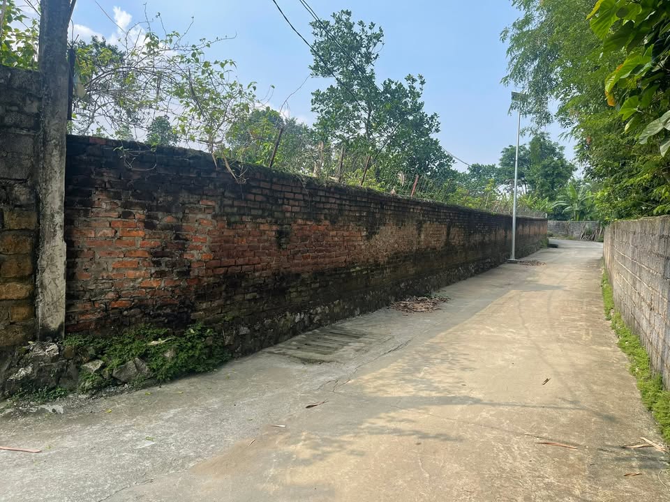 Đất nền 230m² Nhuận Trạch, Lương Sơn - Chỉ 2 tỷ, ô tô vào tận nơi!