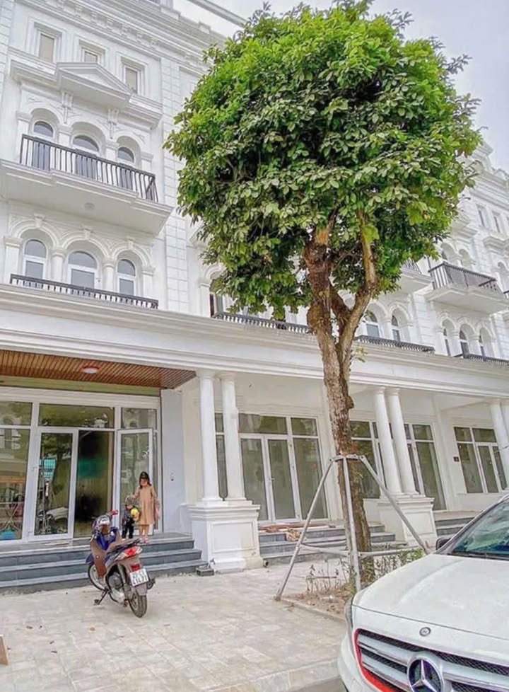 Shophouse Dương Nội 100m² giá 25 triệu - Thiết kế hiện đại, đầy đủ nội thất!