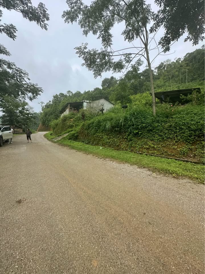 Đất nông nghiệp 3ha tại Đổng Xá, Na Rì, Bắc Kạn - Giá chỉ 1.1 tỷ