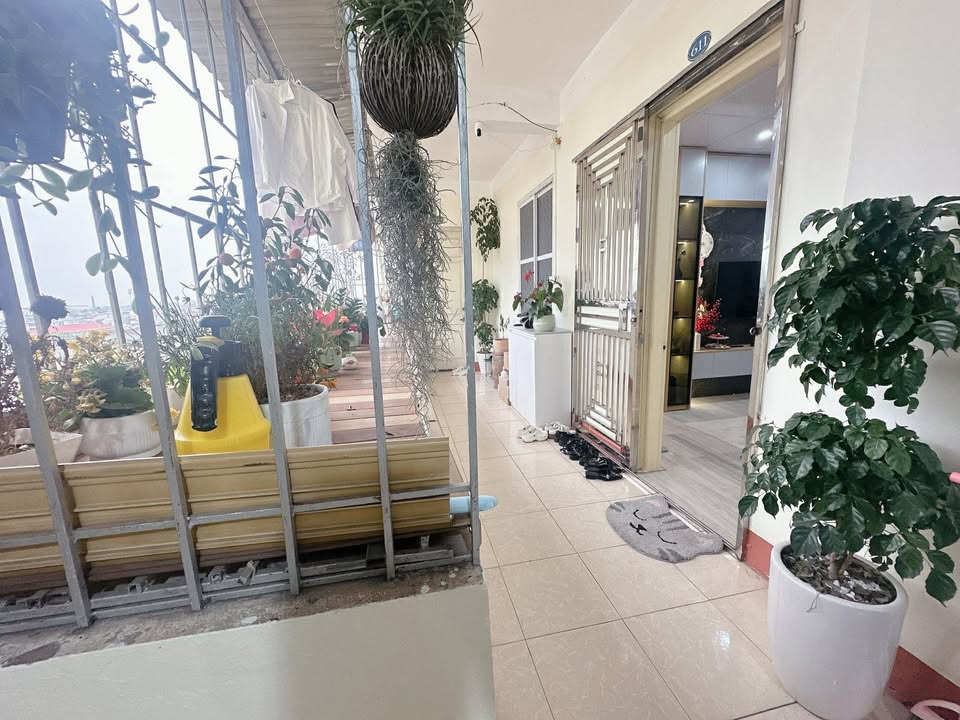 Căn hộ chung cư B8 Thanh Miếu 42m² giá chỉ từ 8xx triệu - Sẵn sàng vào ở ngay!