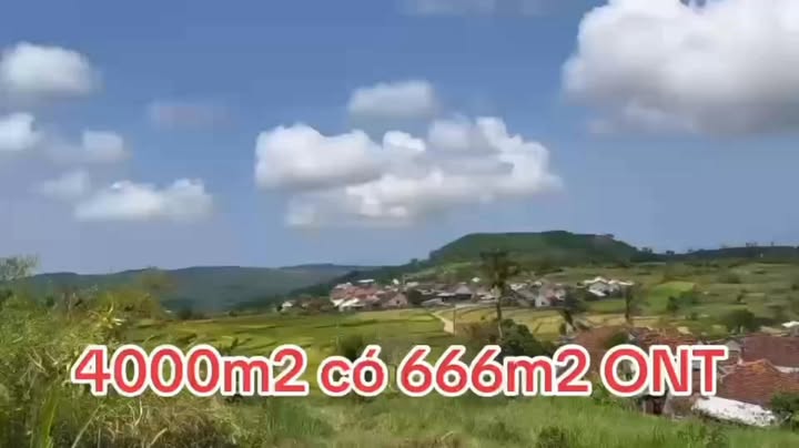 Đất thổ cư An Thọ 4000m² giá thỏa thuận - Vị trí đắc địa, tiềm năng phát triển!