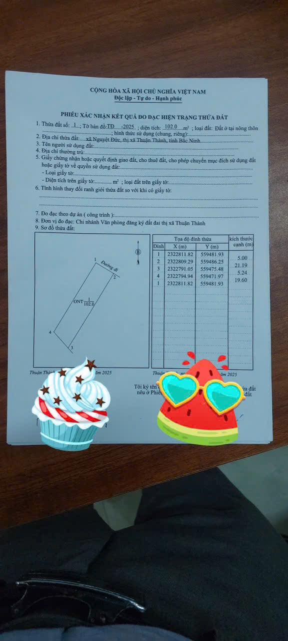 Đất nền đẹp Đào Viên, Nguyệt Đức, Thuận Thành 100m² & 110m² giá chỉ 1.7 tỷ - Đầu tư sinh lời ngay!