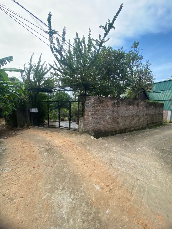 Đất thổ cư Kim Quan, Thạch Thất 340m² - Vị trí đắc địa, dễ dàng kinh doanh!