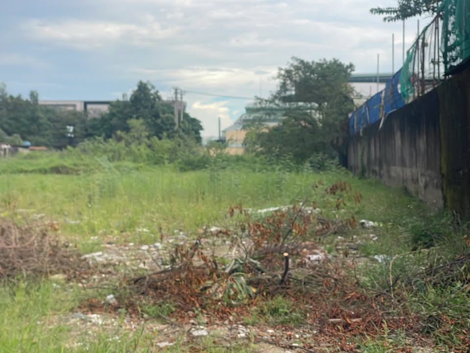 Đất nền Hóc Môn 482m² giá 12.5 tỷ - Vị trí đắc địa cho đầu tư!