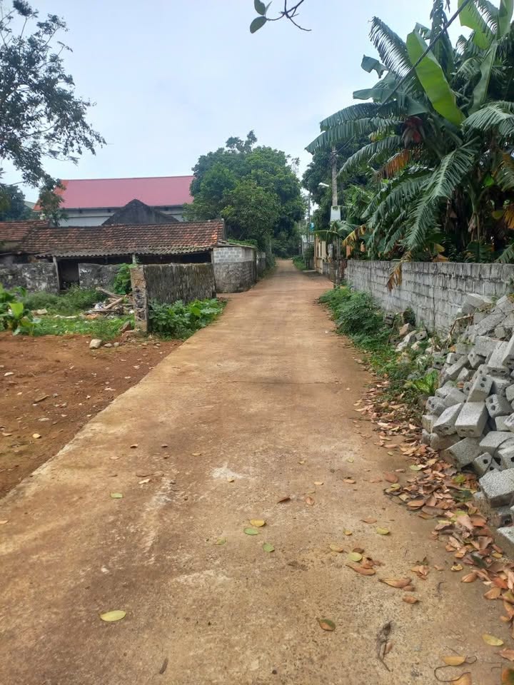 Đất nền Hòa Lư Ninh Bình 100m² - Đường rộng thông thoáng!