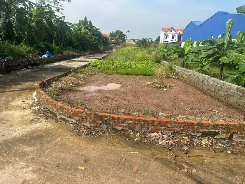 Đất nền Chương Dương, Thường Tín 60m² giá 2 tỷ - Cơ hội đầu tư hiếm có!