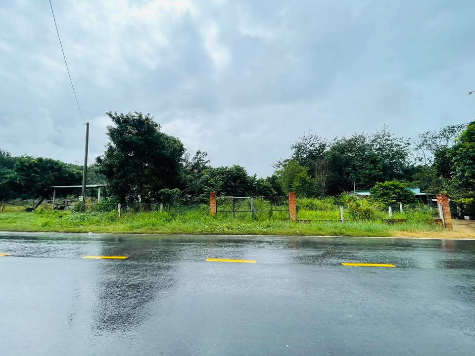 Đất thổ cư 1802m² tại An Phú, Củ Chi - Vị trí đắc địa, xây dựng tự do!