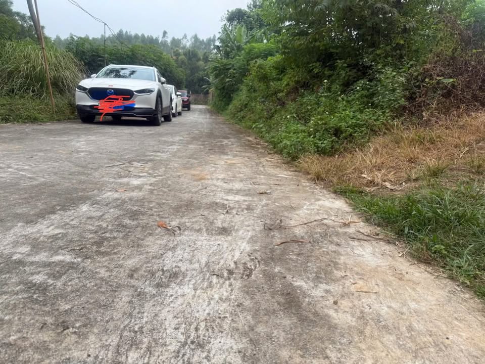 Đất nền Kim Đức Việt Trì 1800m² giá 1.95 tỷ - Đầu tư sinh lời tiềm năng!