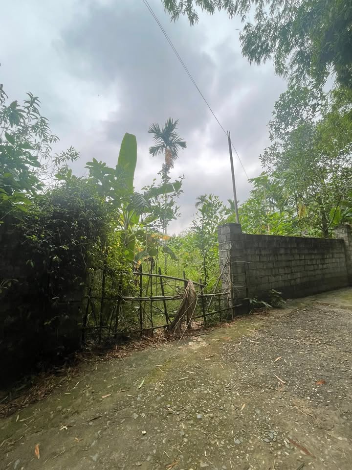 Đất nền Kim Bôi 347m² giá 1 tỷ - Cơ hội đầu tư tuyệt vời!