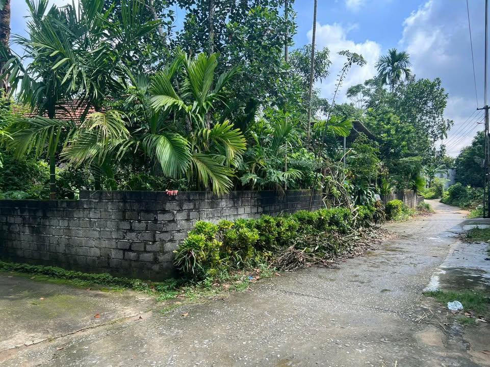 Đất nền Kim Bôi 600m² giá 2.1 tỷ - Lô góc 2 mặt tiền siêu đẹp!