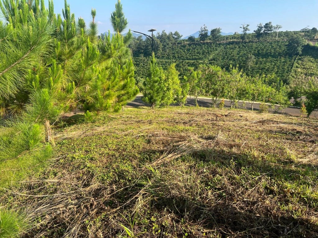 Đất mặt tiền Thôn 4, Phường 2, TP. Bảo Lộc 135.7m² giá 1.53 tỷ - Đầu tư sinh lời ngay!