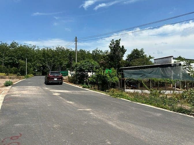 Bán Đất Thổ Cư Long Tân Dầu Tiếng 249m² chỉ 590 triệu - Tiềm năng đầu tư lớn!