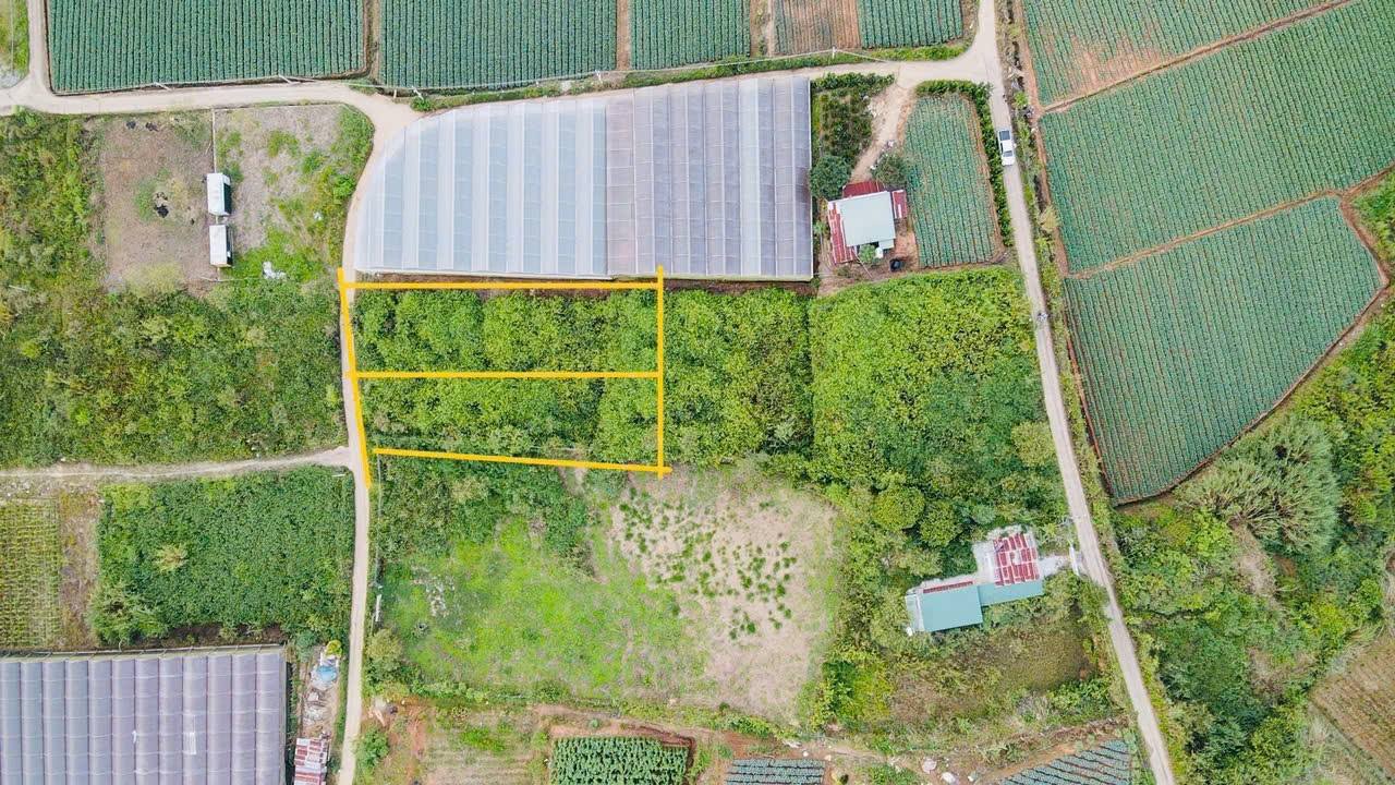 Lô đất đường Mimosa, phường 10, Đà Lạt 675m² - Giá chỉ 2.3 tỷ, sổ riêng công chứng ngay!