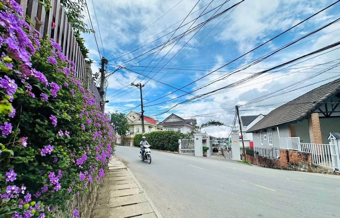 Đất mặt tiền Vạn Hạnh Đà Lạt 217m² giá 14.5 tỷ - Cơ hội đầu tư tuyệt vời!