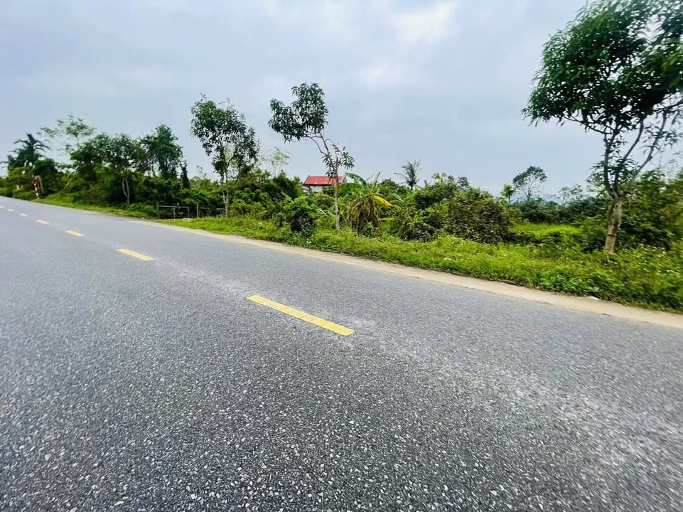 Đất nền thôn Liên Hương, Thạch Đài, 100m² giá 2.1 tỷ - Đường liên xã tiện lợi!