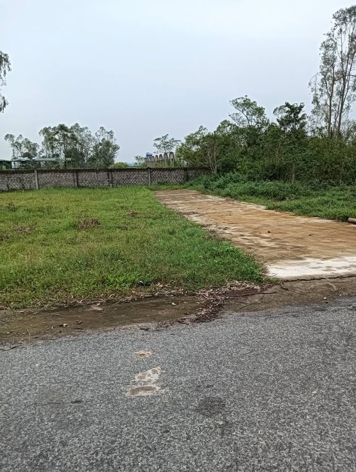 Đất nền Xóm Quyết Tiến, xã Khánh Hợp, Nghi Lộc 137.5m² giá 1 tỷ - Cơ hội đầu tư ngay!