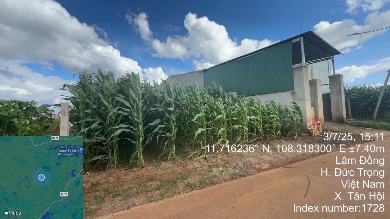 Đất nền Tân Hội, Lâm Đồng 100m² chỉ 1.25 tỷ - Cơ hội đầu tư hiếm có!