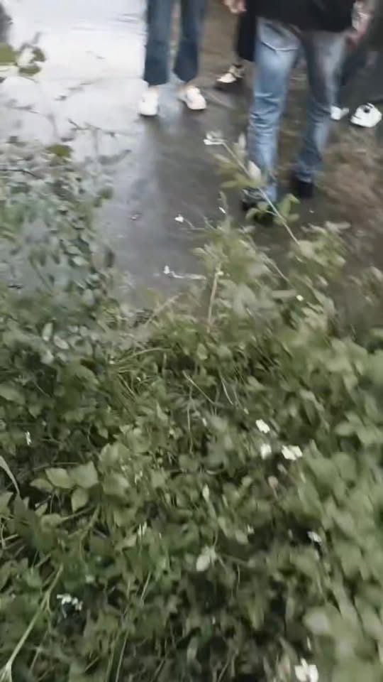 Đất nền Quỳnh Ngọc, Quỳnh Phụ 1100m² giá 1.3 tỷ - Cơ hội đầu tư tuyệt vời!