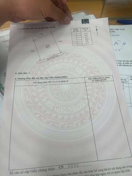 Nhà vườn 366m² tại ấp Thanh Ba, Long An - Giá 1 tỷ, sổ hồng chính chủ!