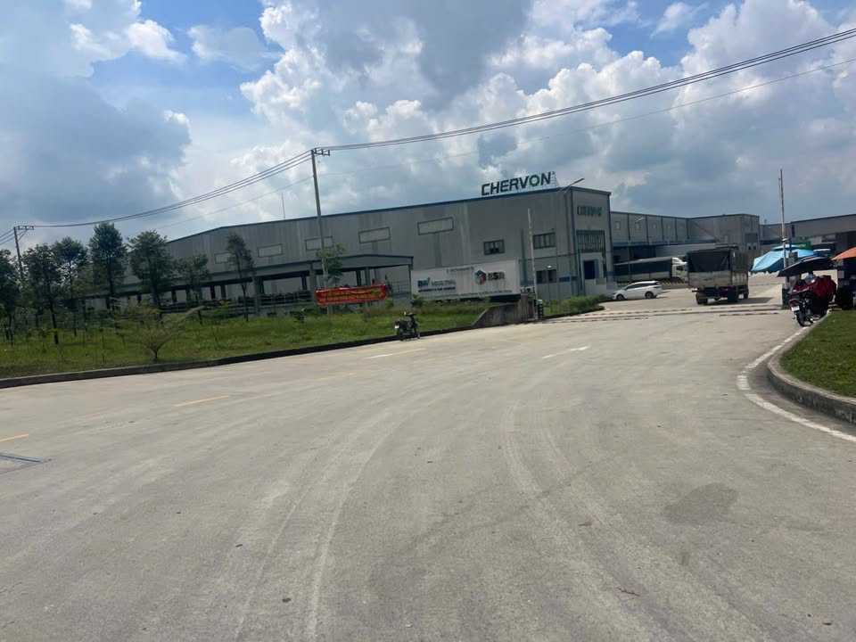 Đất thổ cư 300m² đường DA1, Bến Cát - Kinh doanh ngay mặt tiền 36m!