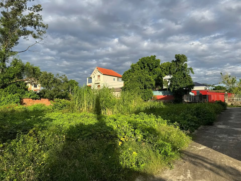 Đất mặt tiền Ngọc Sơn Hiệp Hòa 234m² giá chỉ 9xx triệu - Cơ hội đầu tư hiếm có!