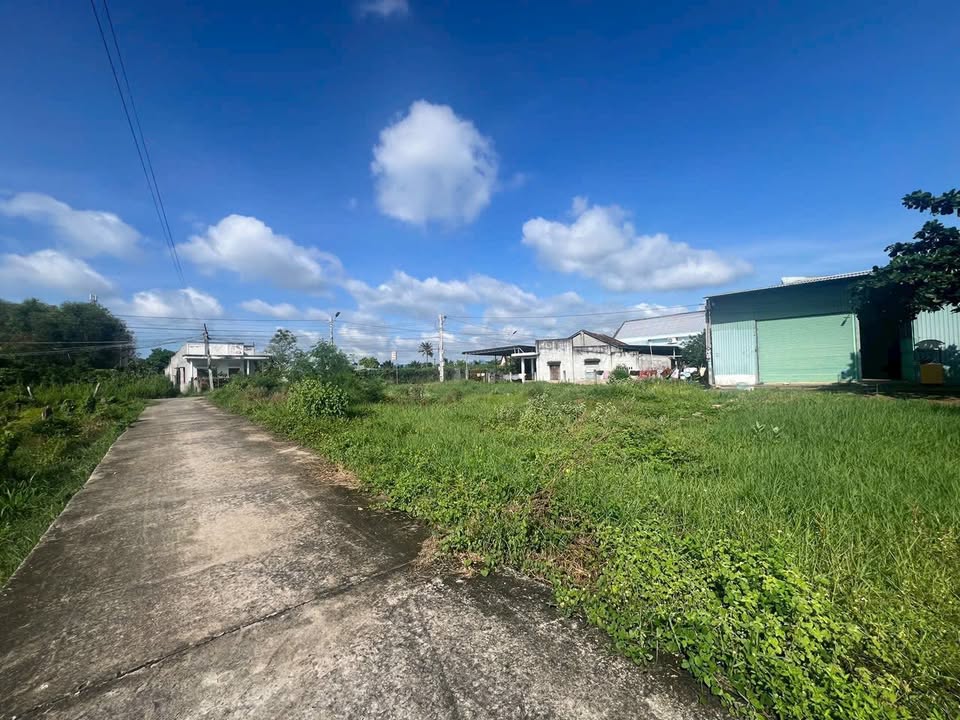 Đất thổ cư Tiến Lợi - Phan Thiết 107m² giá chỉ 750 triệu - Đường bê tông ô tô vào tận nơi!