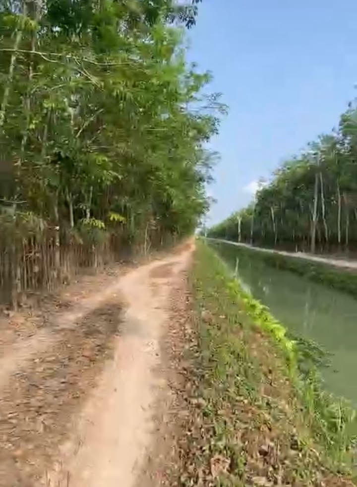 Đất mặt tiền đường Bờ Kênh - Trường Hòa, Hòa Thành 4000m² - Giá chỉ 1.46 tỷ!