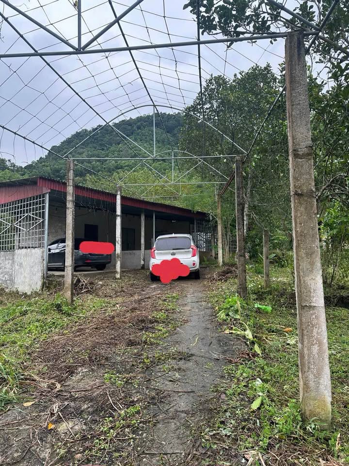 Đất Farm 3ha tại La Hiên Võ Nhai chỉ 2 tỷ - Đầu tư sinh lời ngay!