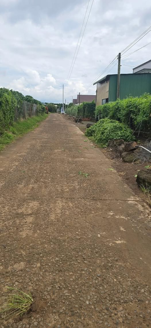 Đất nền Tân Hội, Đức Trọng 75m² giá thỏa thuận - Cơ hội đầu tư hiếm có!