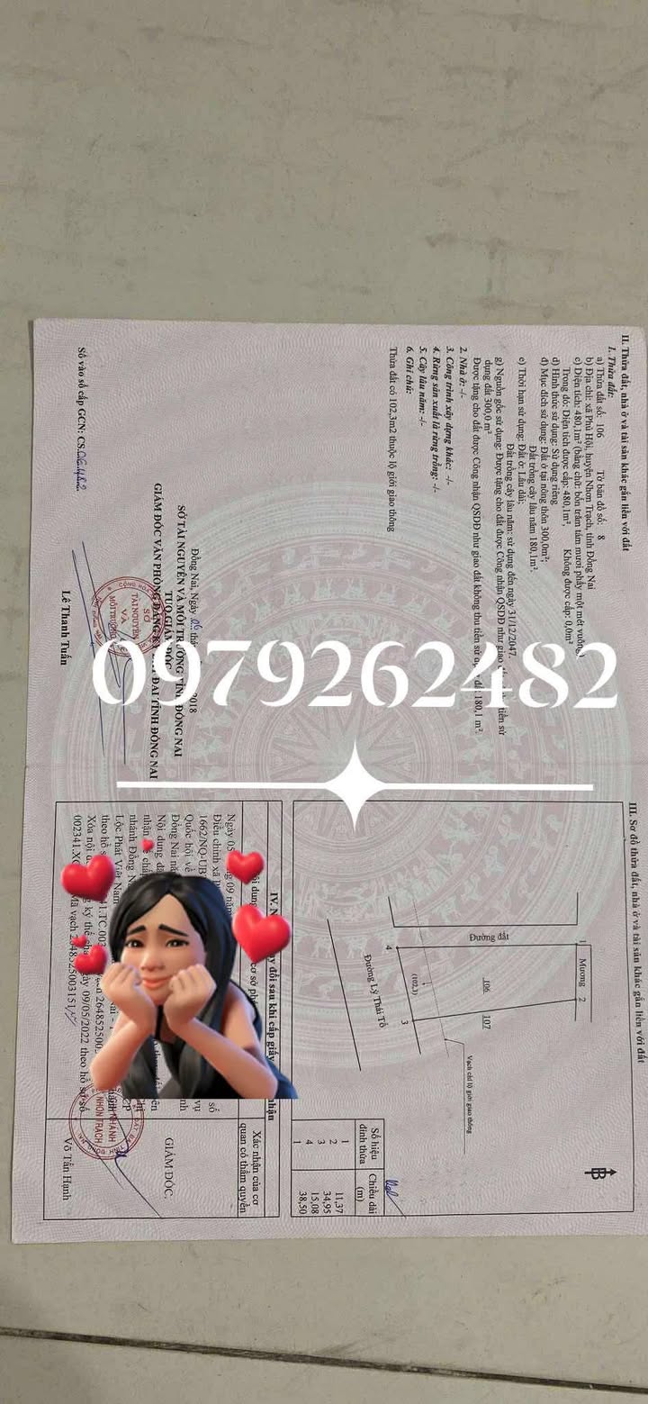 FrontHouse mặt tiền Lý Thái Tổ 480m² giá 9 tỷ - Kinh doanh sầm uất!