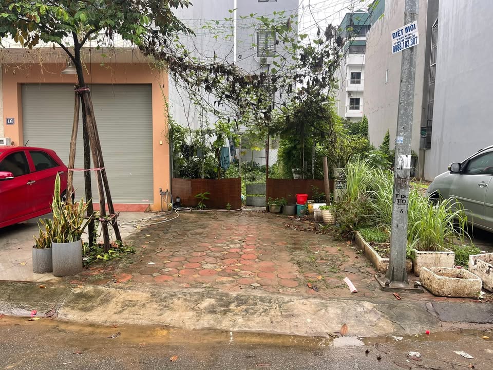 Đất nền Trâu Quỳ, Long Biên 60m² giá 12 tỷ - Đầu tư sinh lời ngay!