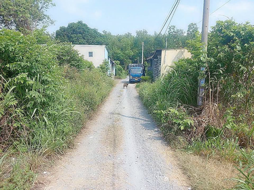 Đất nền Tân Thạnh Đông, Củ Chi 186m² giá 2.2 tỷ - Vị trí đẹp, thổ cư hoàn chỉnh!