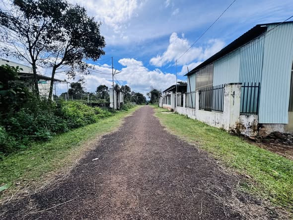 Đất thổ cư 400m² Phan Đình Phùng, Pleiku - Giá chỉ 1.4 tỷ!