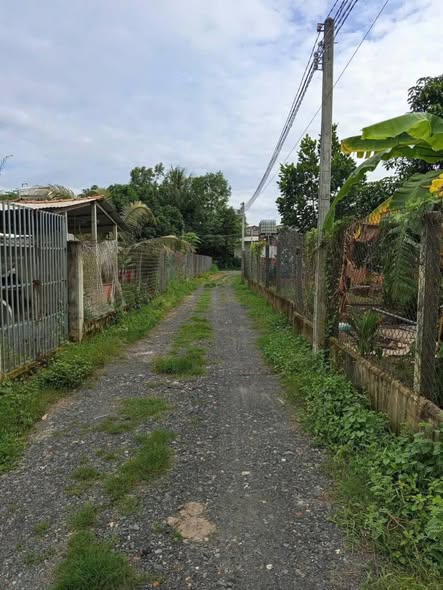 Đất thổ cư 82m² Thanh Điền, Châu Thành, Tây Ninh giá chỉ 239 triệu - Sổ đỏ chính chủ!