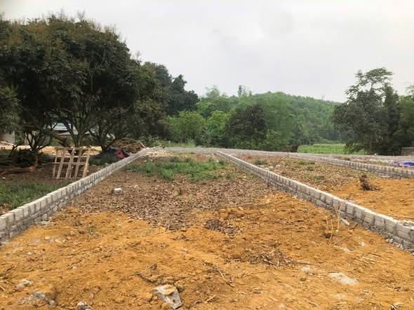 Đất thổ cư 128m² tại Cao Dương, Lương Sơn, Hòa Bình - Tiềm năng sinh lời cao chỉ 500 triệu!