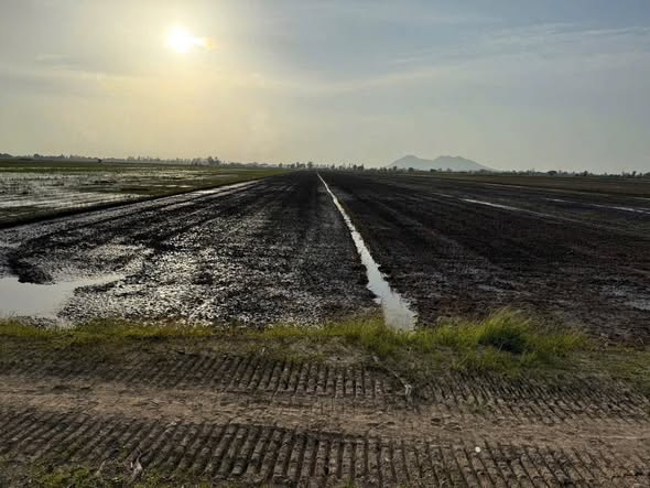 Đất lúa 7 công tại Bình Thành, Thoại Sơn, An Giang - Giá chỉ 945 triệu!