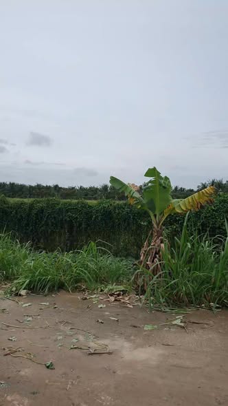 Đất vườn xã Vĩnh Xương 10.427m² giá 1.512 tỷ - Cơ hội đầu tư tuyệt vời!