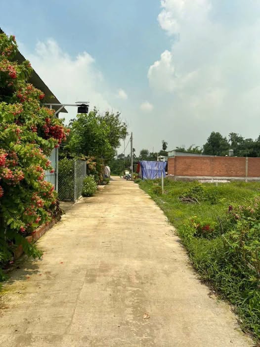 Đất sổ đỏ ấp 2 Long Thọ, Nhơn Trạch 110m² giá 1.2 tỷ - Cơ hội đầu tư hấp dẫn!