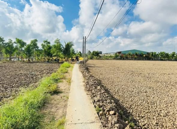 Đất thổ cư Nhựt Tảo 1173m² giá 850 triệu - Đầu tư sinh lời ngay!