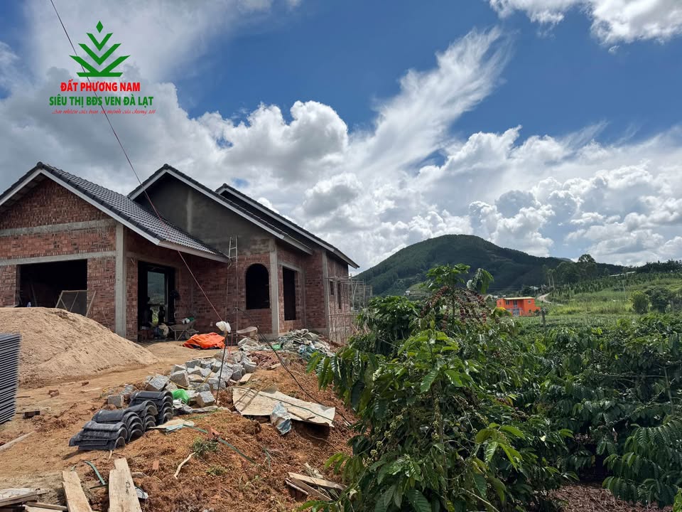 Nhà vườn 536m² xã Nam Ban, Lâm Hà 3.5 tỷ - Sân vườn rộng, view 360 độ!