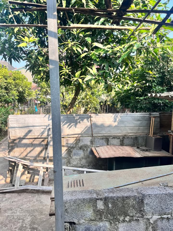 Đất ODT 100m² tại tổ dân phố Mễ Nội, Phủ Lý - Tiềm năng phát triển vượt bậc!