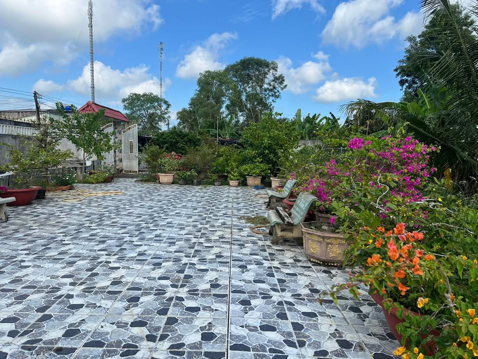 Đất nền Lương Hoà A, Châu Thành, Trà Vinh 450m² giá 1.2 tỷ - Đầu tư sinh lời hấp dẫn!