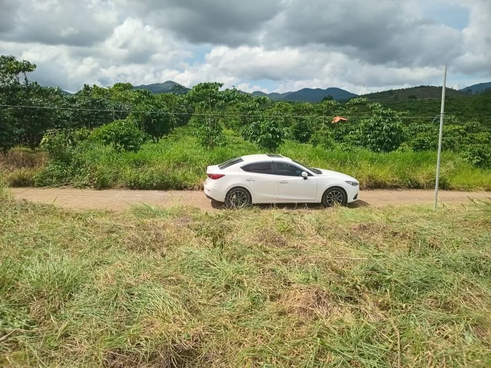 Đất nền Bảo Lộc 7200m² giá 1.8 tỷ - Sổ đỏ chính chủ, vị trí đẹp