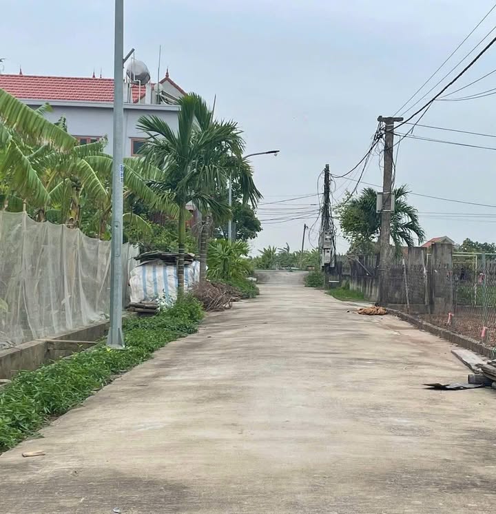 Đất thổ cư Nam Điền 325m² giá chỉ 2 tỷ - Cần bán gấp!