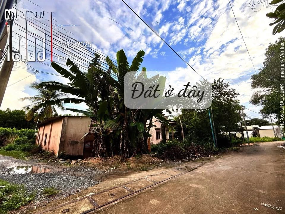 Đất nền Phước An Nhơn Trạch 120m² giá 1.6 tỷ - Đầu tư sinh lời ngay!