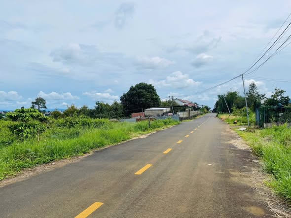 Đất Mặt tiền Nguyễn Trãi, Bảo Lộc 165m² giá 2.05 tỷ - Cơ hội đầu tư không thể bỏ lỡ!