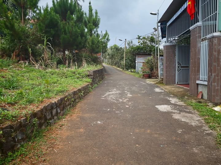 Đất nền Trần Nguyên Hãn, Bảo Lộc 234m² giá 2.2 tỷ - Thế đất cao, view thoáng