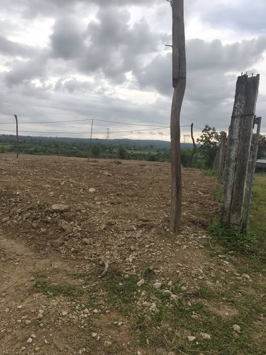 Đất vườn mini tại Cư Jút 500m² giá chỉ vài trăm triệu - Đầu tư sinh lời ngay!