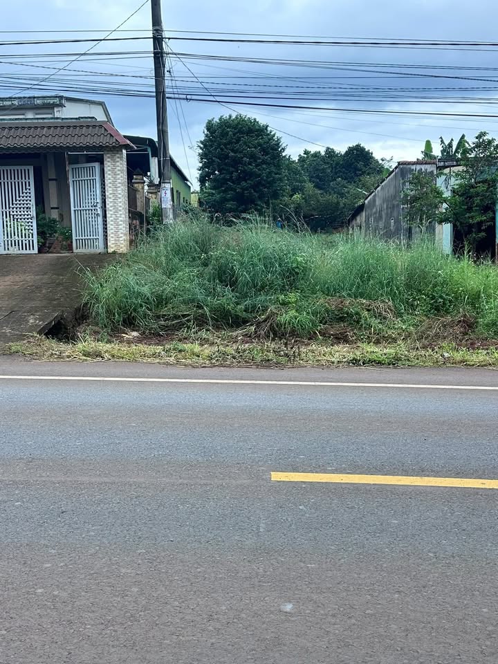 Đất nền Quốc lộ 19, Chư Păh, 500m² giá 1 tỷ - Cơ hội đầu tư hấp dẫn!