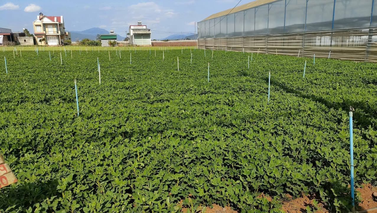 Đất nền Liên Nghĩa Đức Trọng 288m² giá 2.05 tỷ - Đầu tư sinh lời ngay!